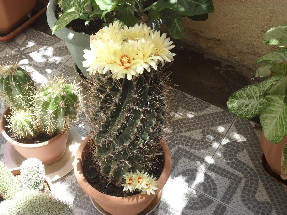La Santre Villa Amoudara Lasithiou 외부 사진
